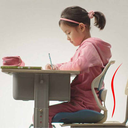 SpineAlign Posture Correcting Back Rest