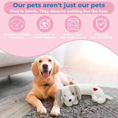 2x SnuggleBuddy Pet Companion