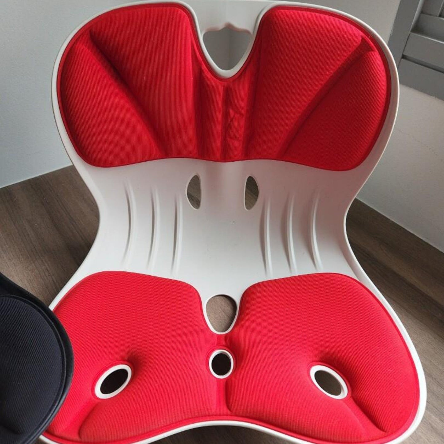 SpineAlign Posture Correcting Back Rest