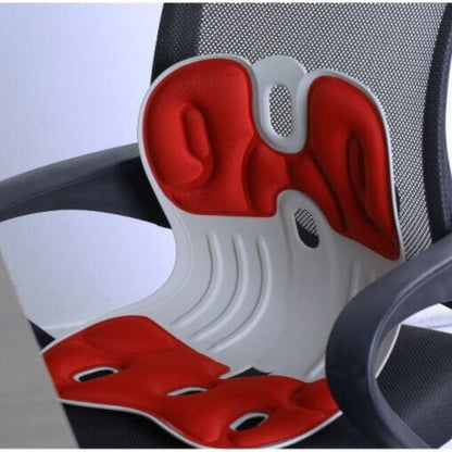 SpineAlign Posture Correcting Back Rest