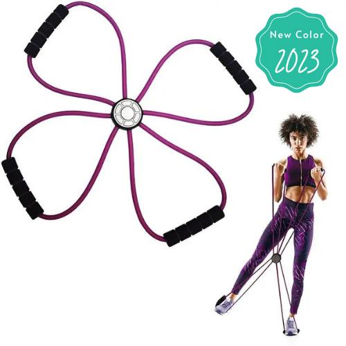FlexiCore Reformer Bands