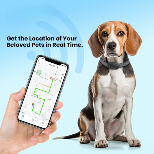 PetFinder Pro